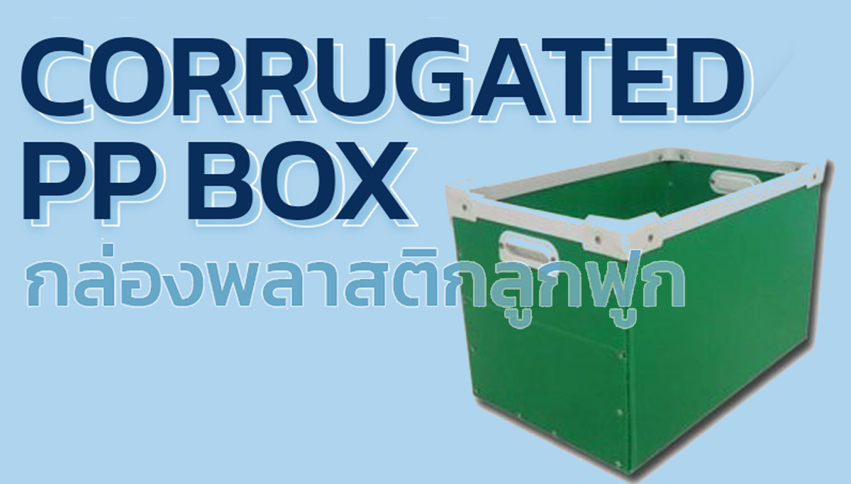 พลาสติก PP พลาสติก PP